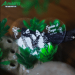 CLB 510BT Wireless Headphones with Purebass Sound